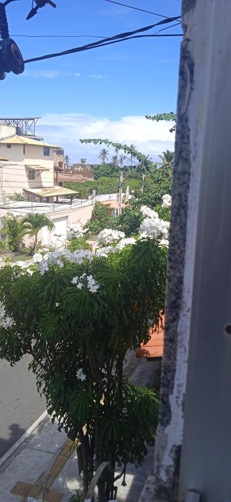 Kit net Carlotta Apartmentos Salvador Buitenkant foto